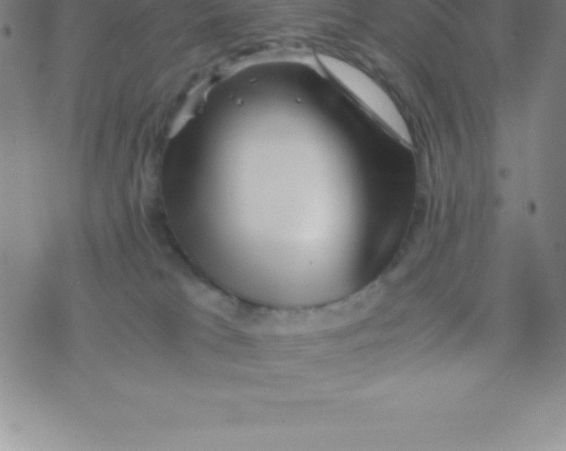 X0000076310037200610271950