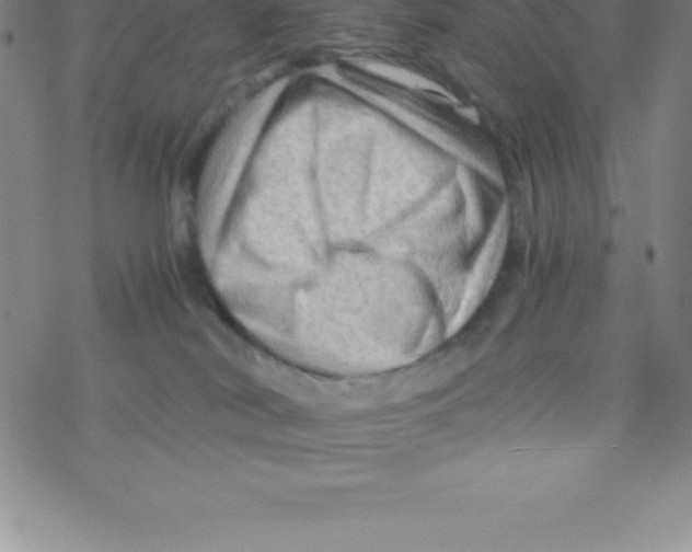 X0000076310038200610271950