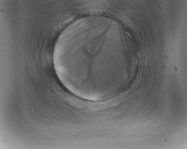 X0000076310039200610271950