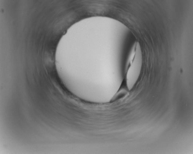 X0000076310040200610271950