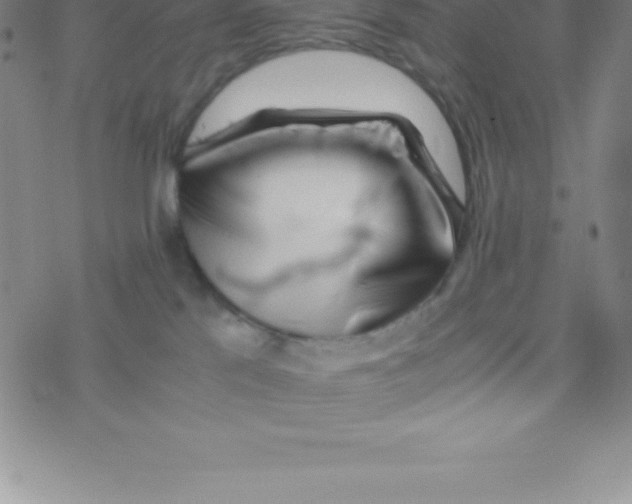 X0000076310041200610271950