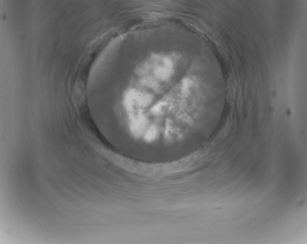 X0000076310043200610271950