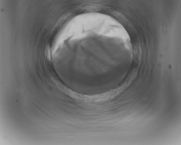 X0000076310046200610271950