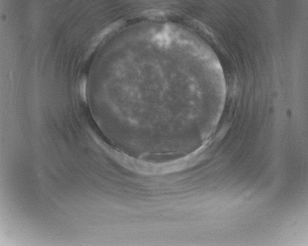 X0000076310047200610271950