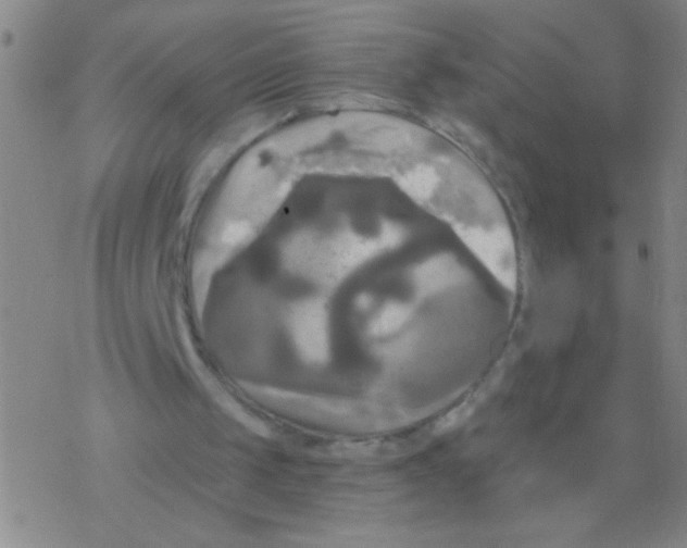 X0000076310049200610271949