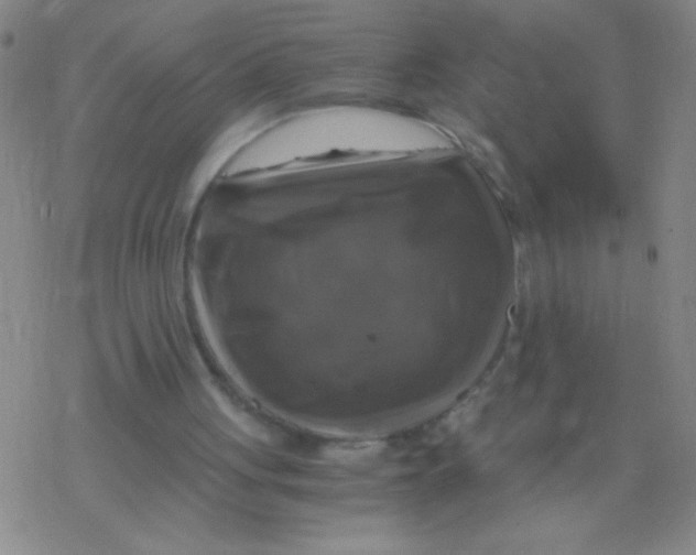 X0000076310051200610271949