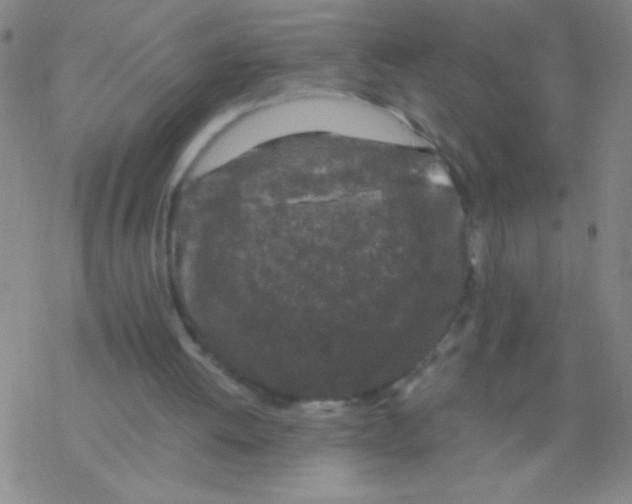 X0000076310052200610271949