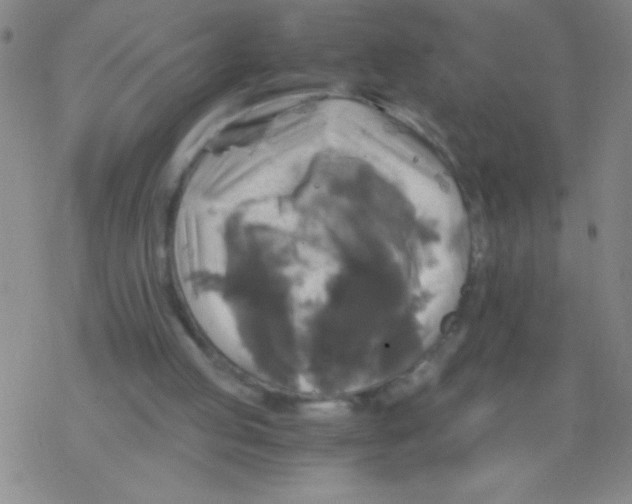 X0000076310053200610271949