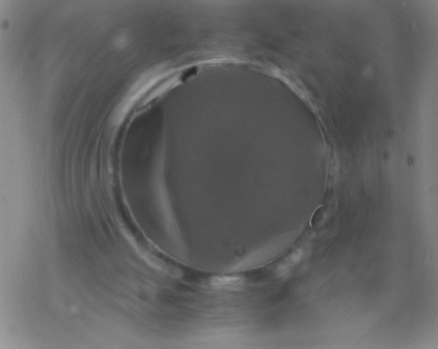 X0000076310055200610271949