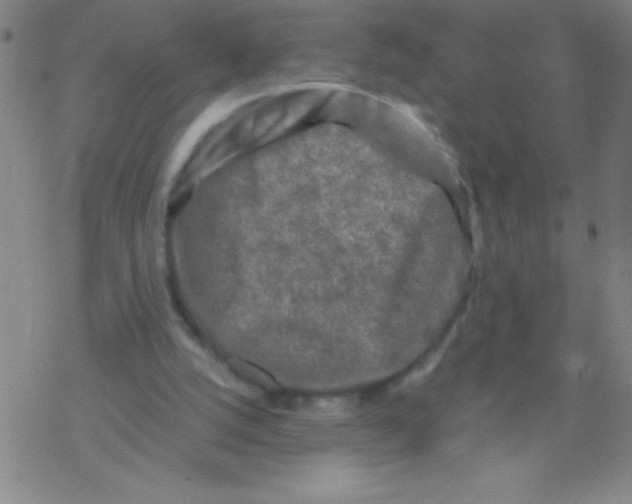 X0000076310056200610271949