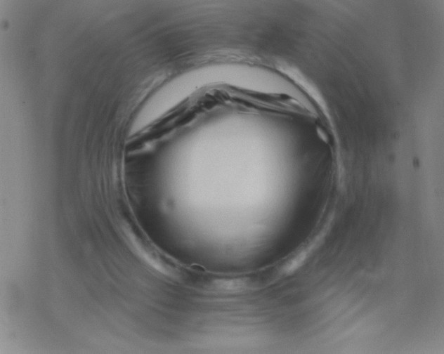 X0000076310057200610271949