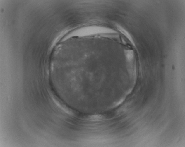 X0000076310059200610271949