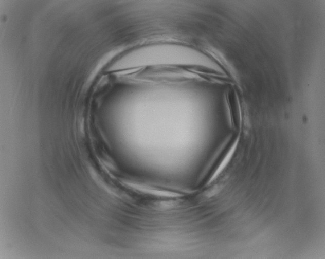 X0000076310060200610271949