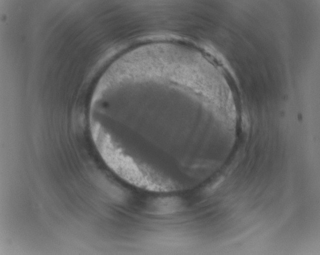 X0000076310063200610271949