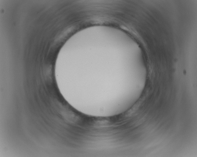 X0000076310066200610271949