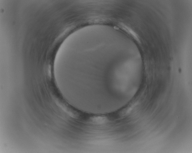 X0000076310067200610271949