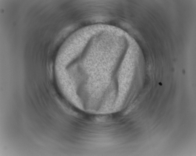 X0000076310070200610271949