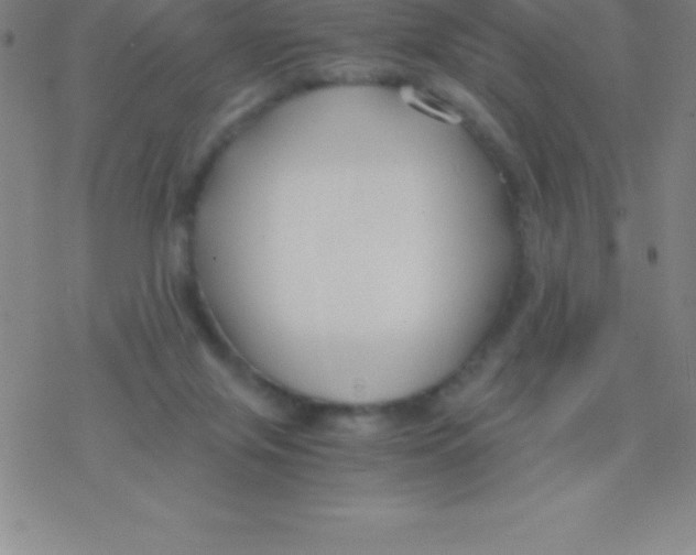 X0000076310071200610271950