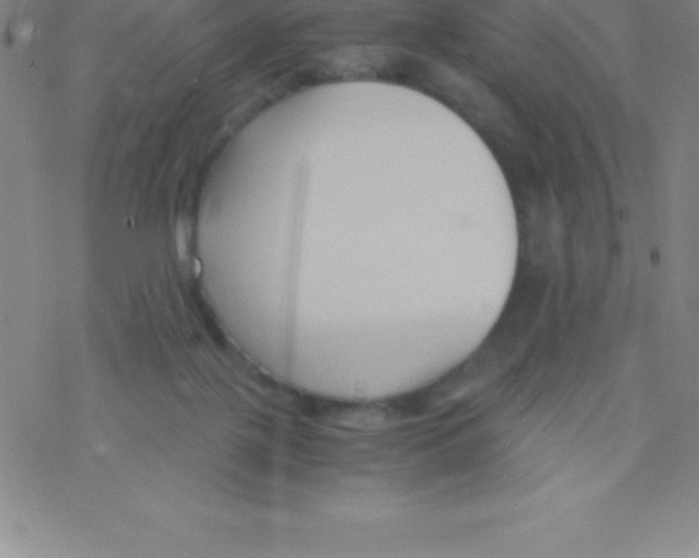 X0000076310075200610271950