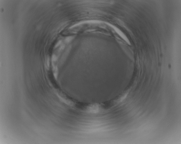 X0000076310076200610271950