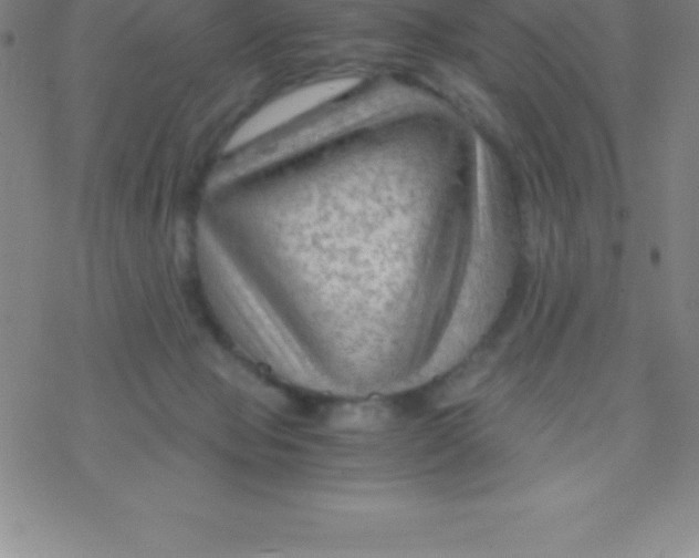 X0000076310077200610271950