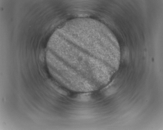 X0000076310078200610271950