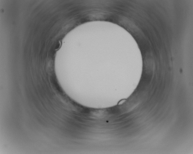 X0000076310079200610271950