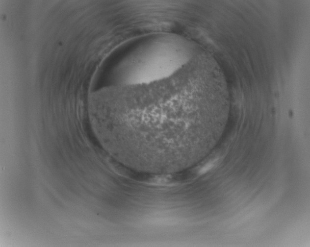 X0000076310080200610271950