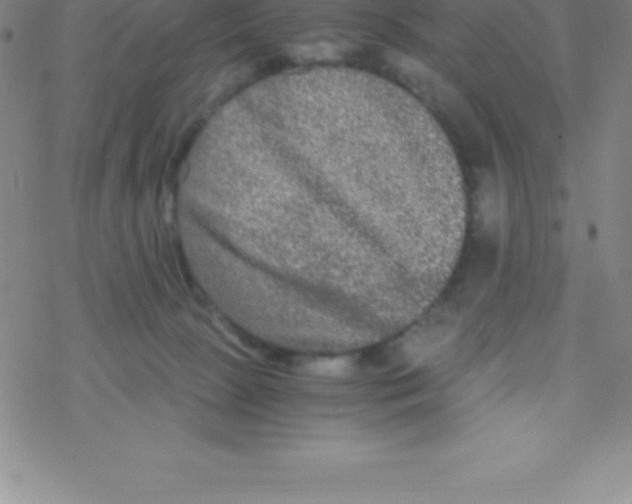 X0000076310081200610271950