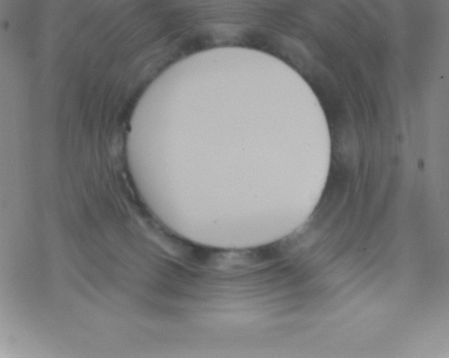 X0000076310082200610271950