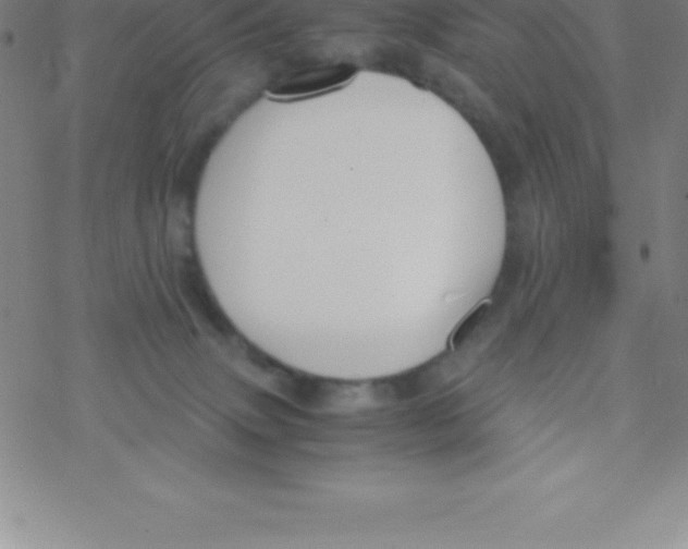 X0000076310083200610271950