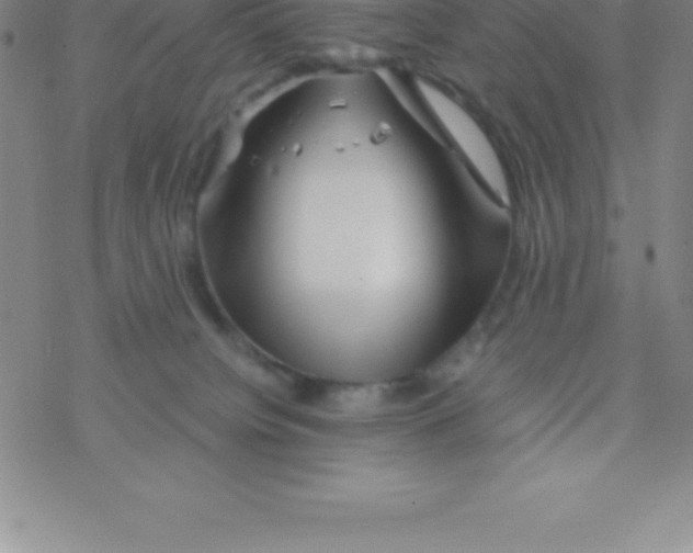 X0000076310084200610271950