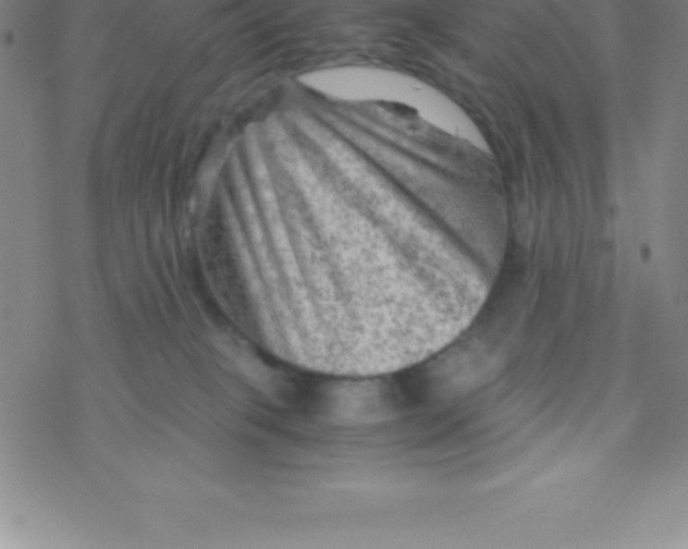 X0000076310085200610271950