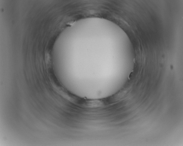 X0000076310087200610271950