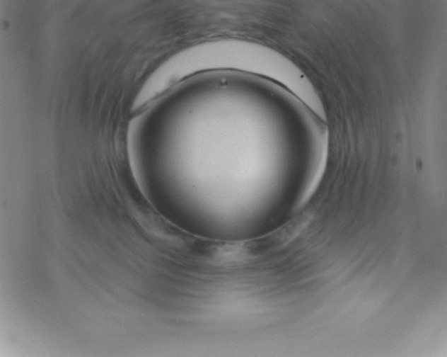 X0000076310088200610271950