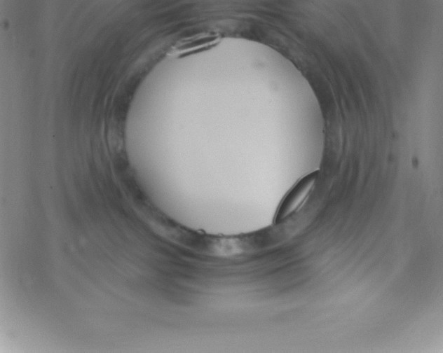 X0000076310091200610271950