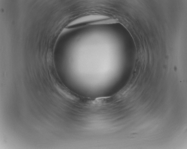 X0000076310092200610271950