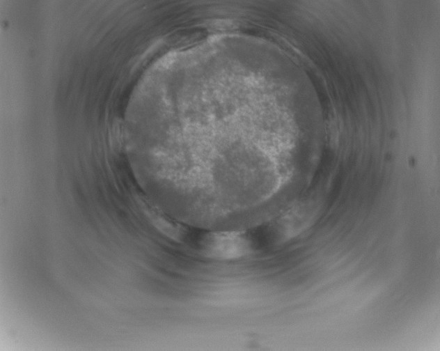 X0000076310093200610271950