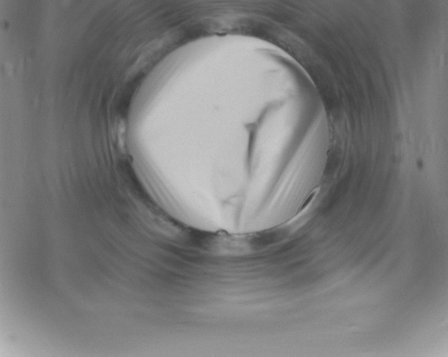 X0000076310094200610271950