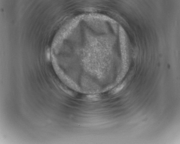 X0000076310095200610271950