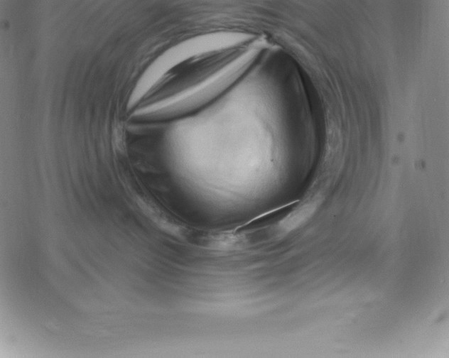 X0000076310096200610271950