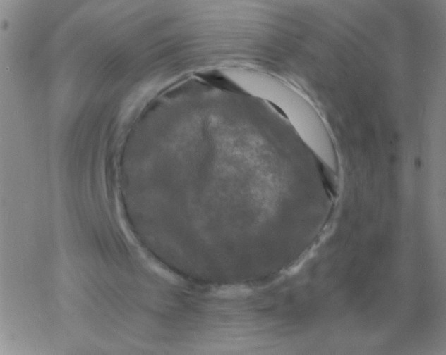 X0000076310097200610271949