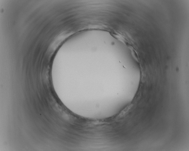 X0000076310098200610271949