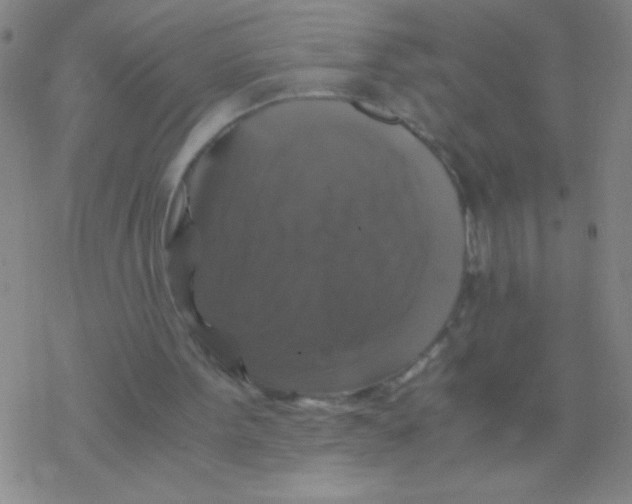 X0000076310099200610271949