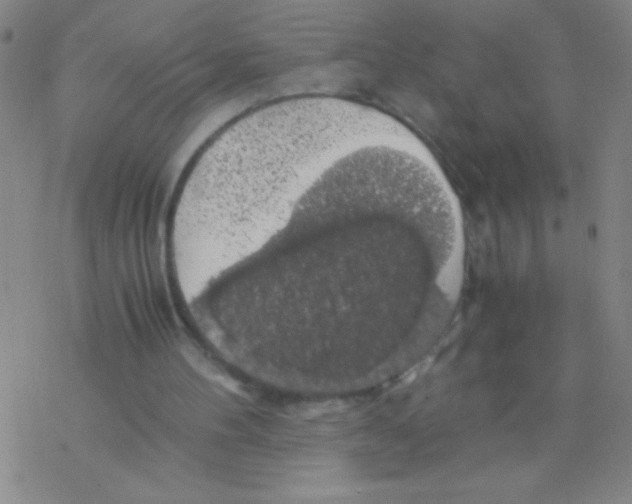 X0000076310100200610271949