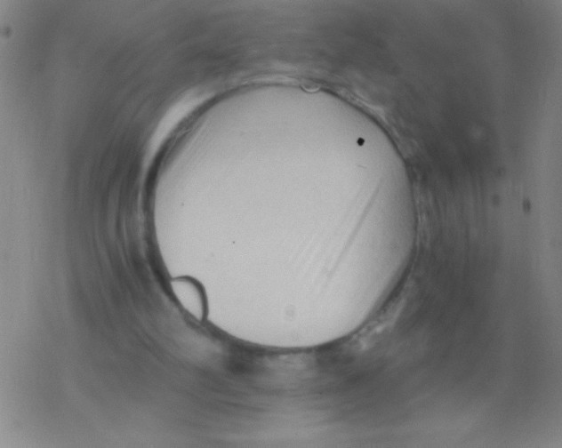 X0000076310102200610271949