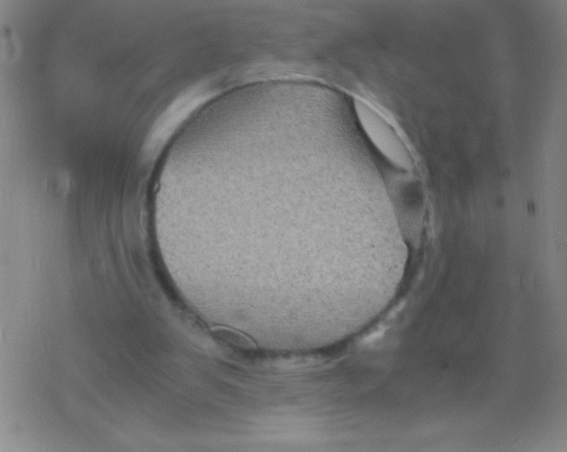 X0000076310103200610271949