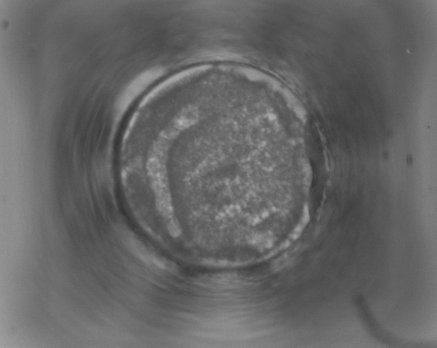 X0000076310104200610271949