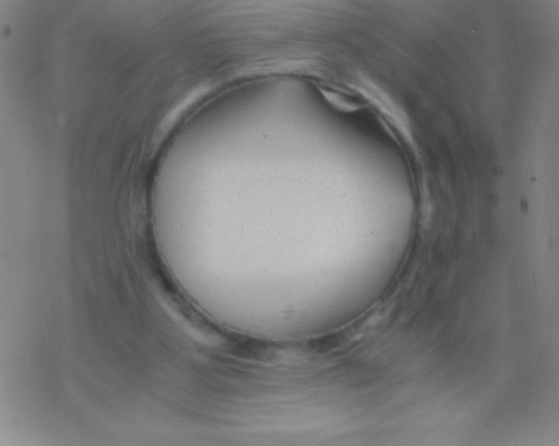 X0000076310107200610271949