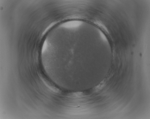 X0000076310108200610271949